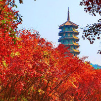 98元/张2019年齐鲁版锦绣江山全国旅游一卡通年卡，涵盖29省200城市1285家景区，免票价值8万元