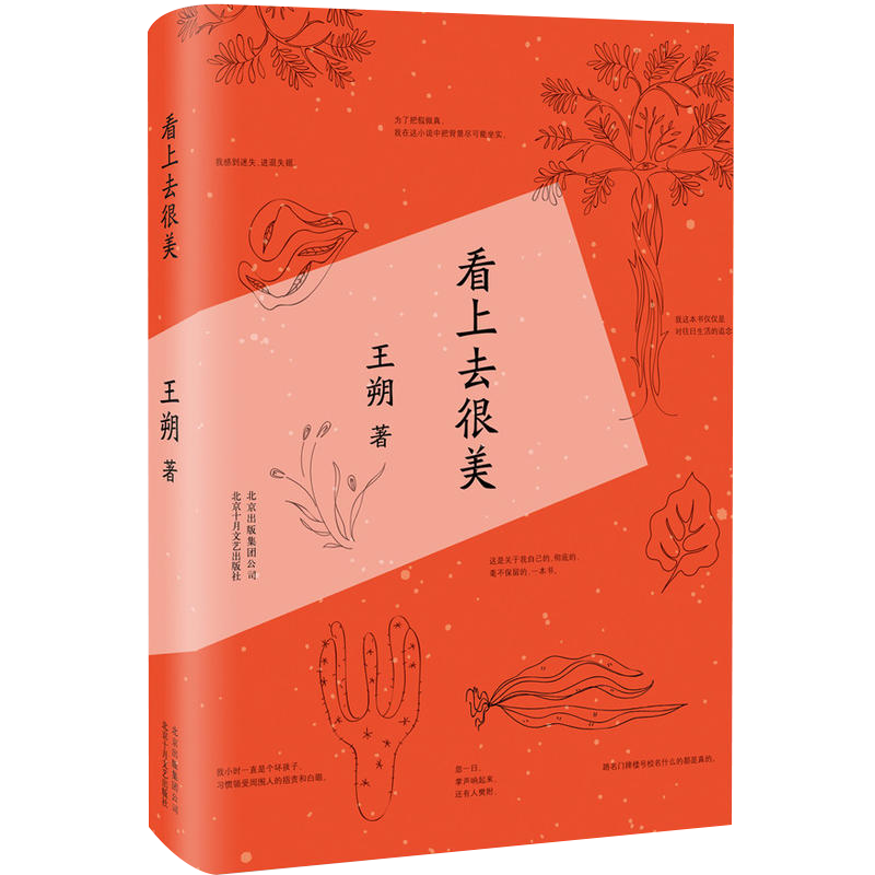 [正版] 看上去很美(精)王朔随笔集作品致女儿书我是你爸爸 爱情小说都市 情感小说中国现当代文学经典文学小说 书籍排