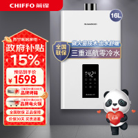 前锋燃气热水器 全屋零冷水智能恒温低压启动JSQ30-F901