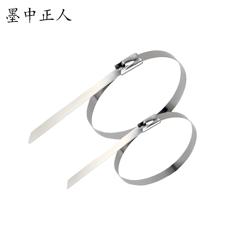 墨中正人不锈钢扎带zd800根高清大图