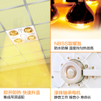 (AUPU)奥普浴霸1010升级款FDP5010SL灯暖型全功能型浴霸 超薄集成吊顶式浴霸 换气扇
