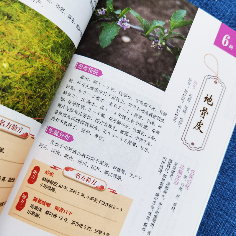 [醉染正版]全彩 新编百草良方实用图谱 图鉴正版图解中草药中药材彩色图谱附偏方药方 中药材药方养生中医养生保健本草纲目中高清大图