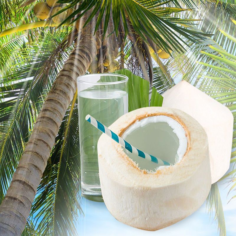 正宗泰国香水椰青进口大果椰宝椰子蛋椰汁新鲜水果整箱4个装单果950克