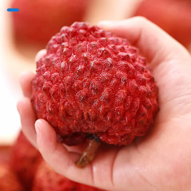 苏鲜生海南火山荔枝王新鲜水果甜美多汁带箱9斤装当季新鲜水果