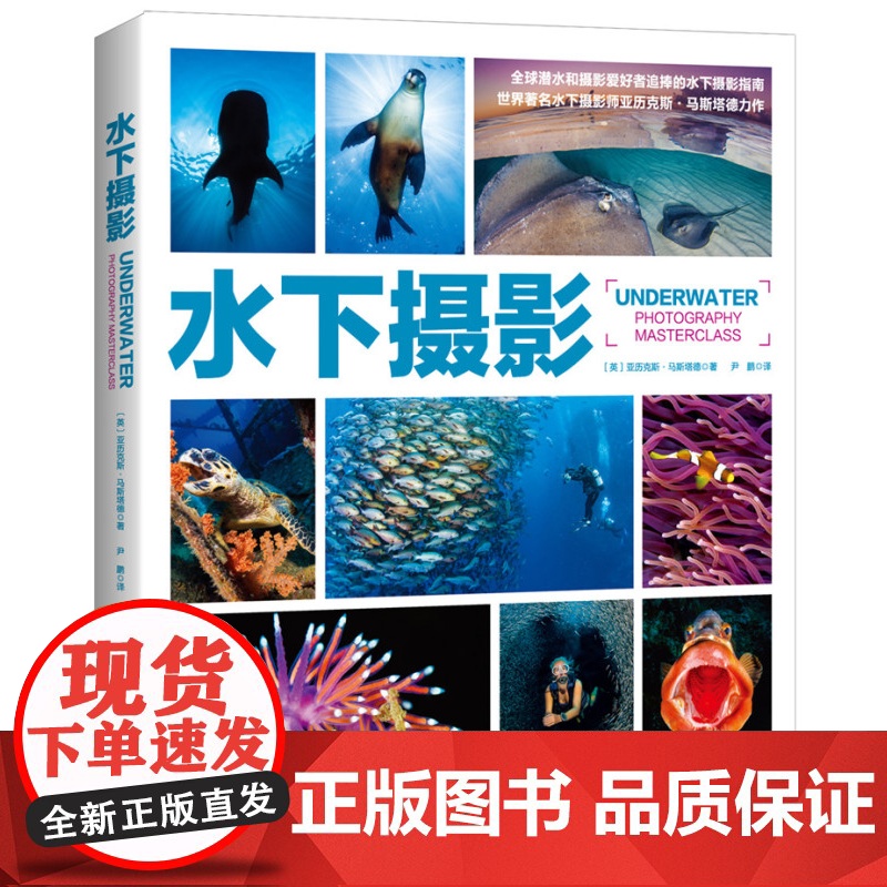水下摄影(世界水下摄影师Alex Mustard力作;史上超实用水下摄影指南,深受全球潜水、摄影爱好者追捧)高清大图