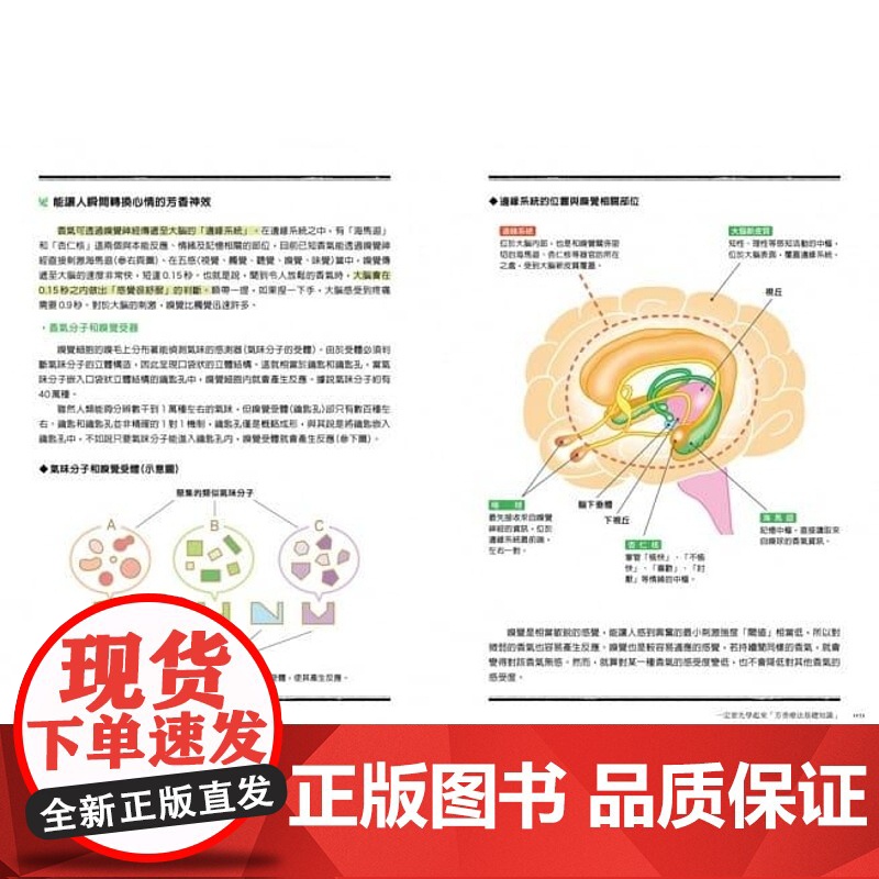 []港台原版 精油芳疗教科书 严选75款精油详解 165帖多元对症处方 天然手作保养品 专家级芳疗按摩 雅菲 朵高清大图