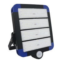 鼎晟丰(DSF)DSFGZ-936T-200 220V 200W IP66 LED LED智睿全维智能泛光灯 (计量单位:个)