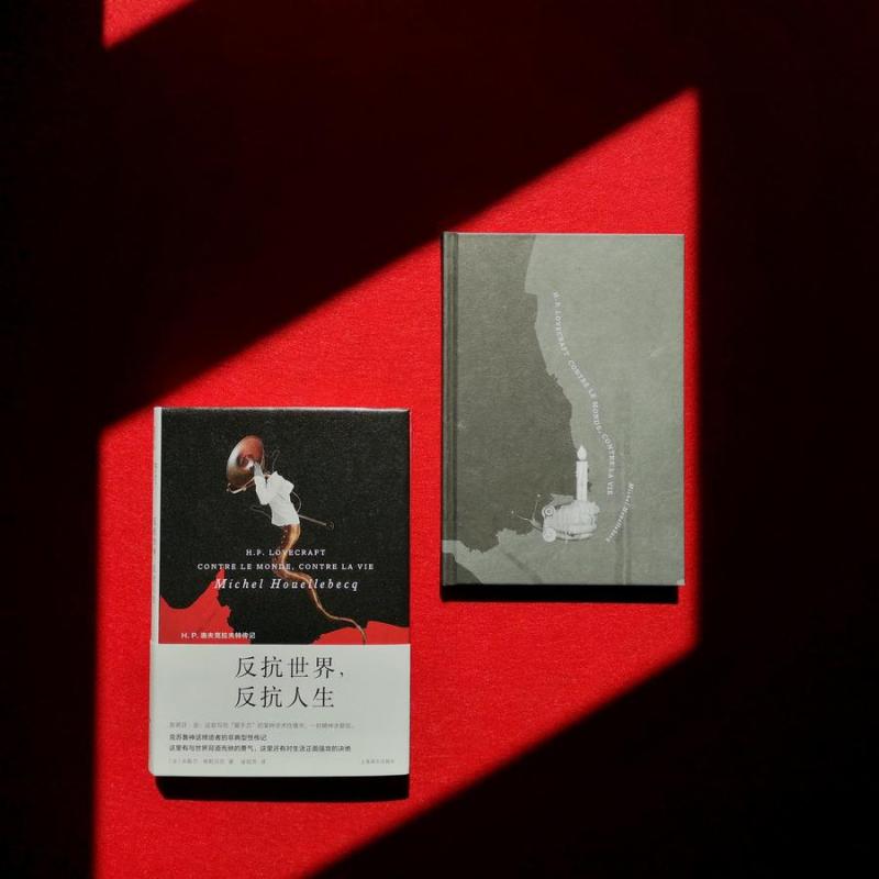维勒贝克作品三种 [正版]维勒贝克作品三种 基本粒子 血清素 反抗世界,反抗人生 [法]米歇尔·维勒贝克 著 法国文学