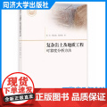 复杂岩土及地质工程可靠度分析方法 张洁 同济大学出版社