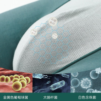 红豆长绒棉棉氨抑菌平角内裤4条组合装