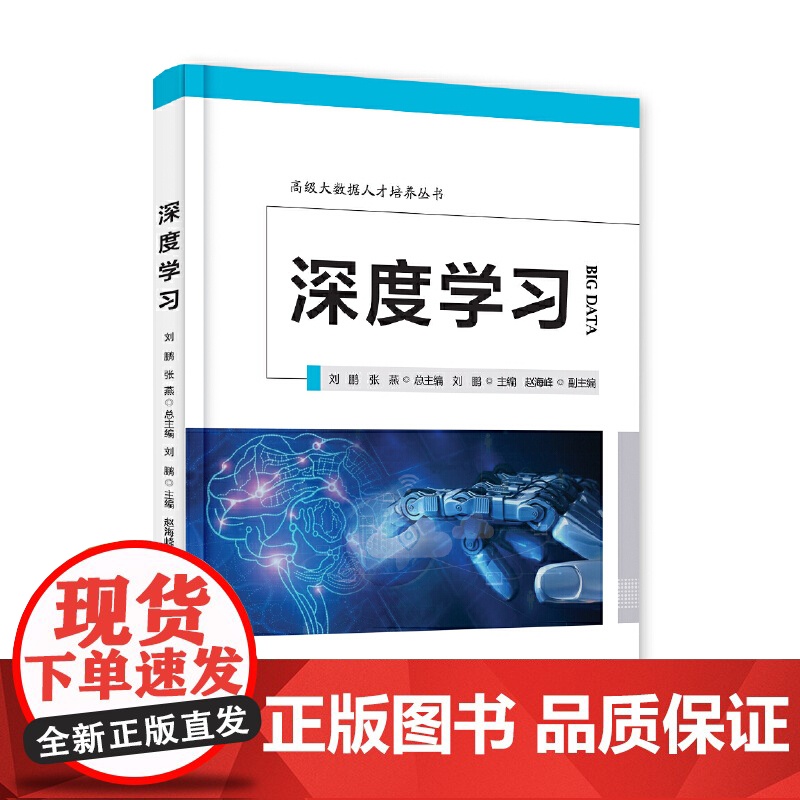 深度学习—高级大数据人才培养丛书 刘鹏 电子工业出版社 正版书籍高清大图