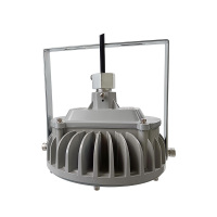 鼎晟丰(DSF) DSFG-911-50 50W LED泛光灯 个 灰色
