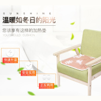 电加热坐垫办公室电热垫小电热毯宠物加热垫车载电热毯坐垫暖脚垫
