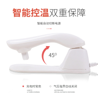 朵兰暖咖 兔毛绒热水袋暖宝宝 已注水电分离防爆电暖袋 新老款随机发货