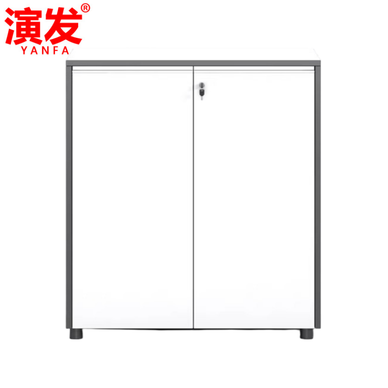 演发 凭证柜两门 个高清大图