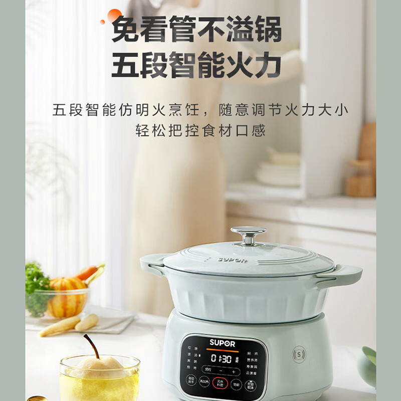 苏泊尔(SUPOR)电炖锅 炖锅盅电炖锅煲汤锅炖盅电炖锅电炖汤锅煮粥锅电汤锅24小时预约 分体珐琅锅 DG30YC861