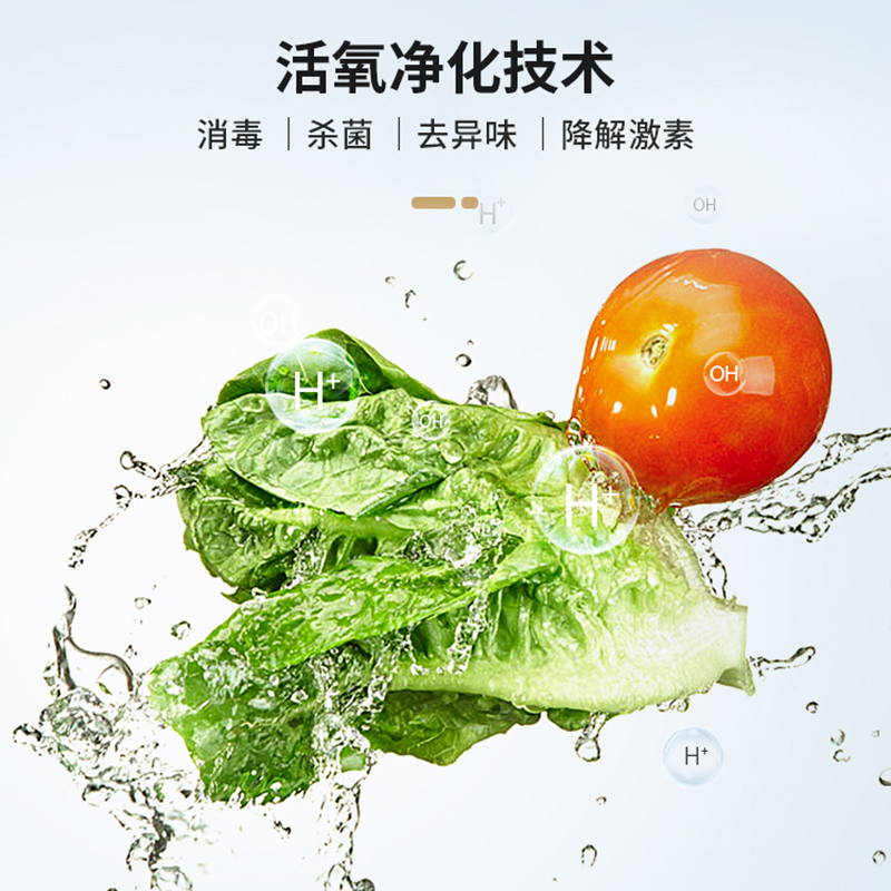 惠而浦(Whirlpool)超声波洗菜机WVS-CS607J 家用果蔬清洗机解毒消毒蔬菜食材净化机12L大容量