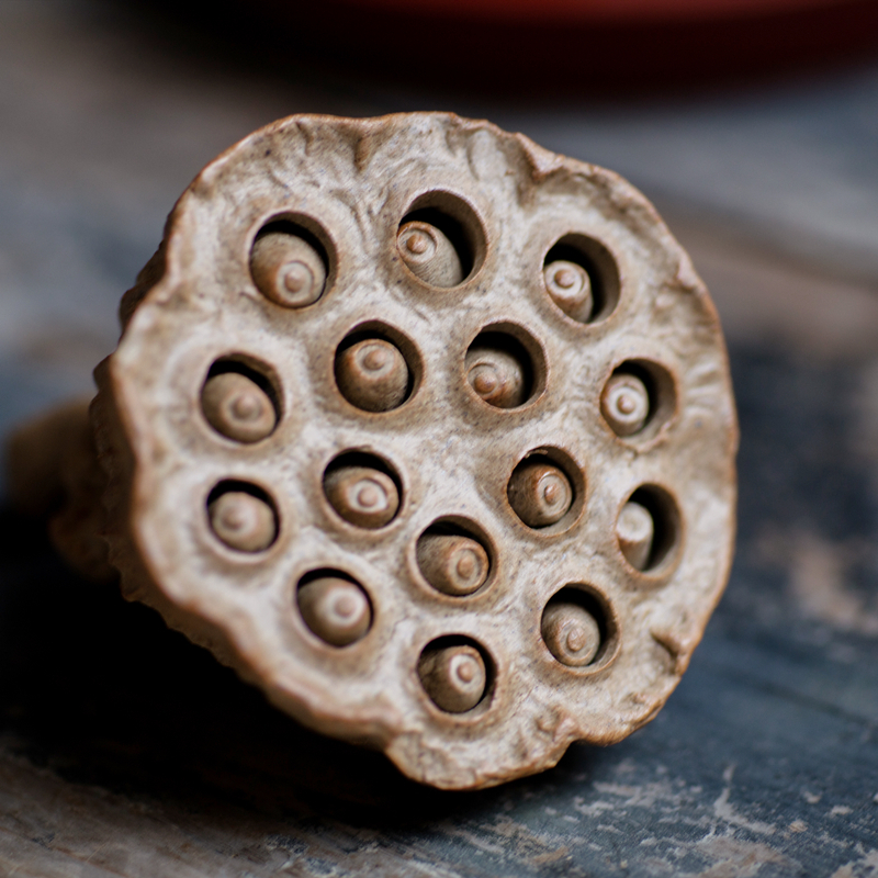 美帮汇景德镇手工莲蓬茶宠摆件可养陶泥莲子禅意饰品中式茶席摆件