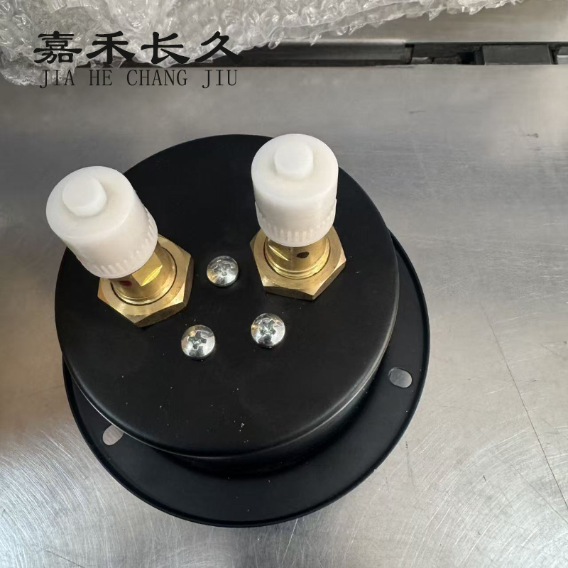嘉禾长久 双针压力表 Y100ZT 0-1000KPA 块高清大图
