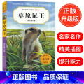 【正版】草原鼠王(升级版) 中外动物小说精品初中三四五六年级小学生课外必读书籍10-12-15岁少儿童阅读物图书狼王必