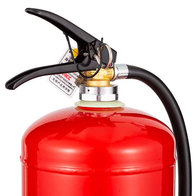 神龙 手提式水基型灭火器 MSWZ/4 水雾灭火器4L 219140240040