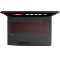微星（MSI）GL73 17.3英寸大屏吃鸡游戏本电竞笔记本电脑 i7-8750H 8GB 128G+2TB GTX1060 6G独显 120HZ 94%色域 背光 标配