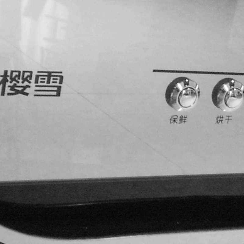 樱雪消毒柜YTD100E-1202(B)