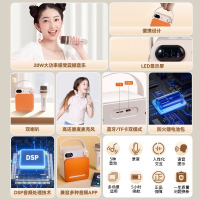 EDIFIER/漫步者PP203家用蓝牙音响K歌无线麦克音箱风户外唱歌KTV便携新款 浅紫色