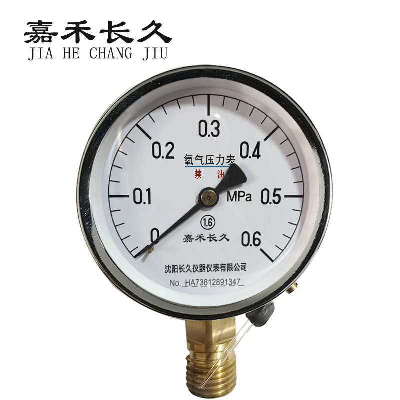 嘉禾长久+氧气压力表检测定制型+YO100+块 0-0.6Mpa