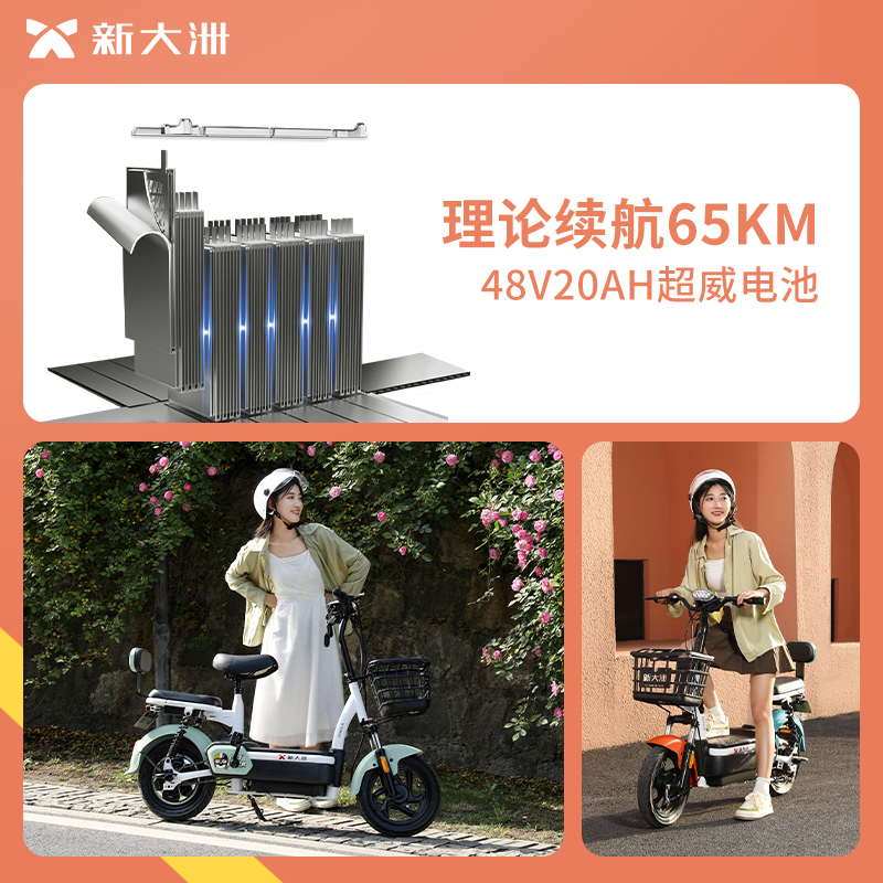 PALLA电动车 战神洲洲 新国标48V20ah大容量电瓶车代步车电动自行车 钻白