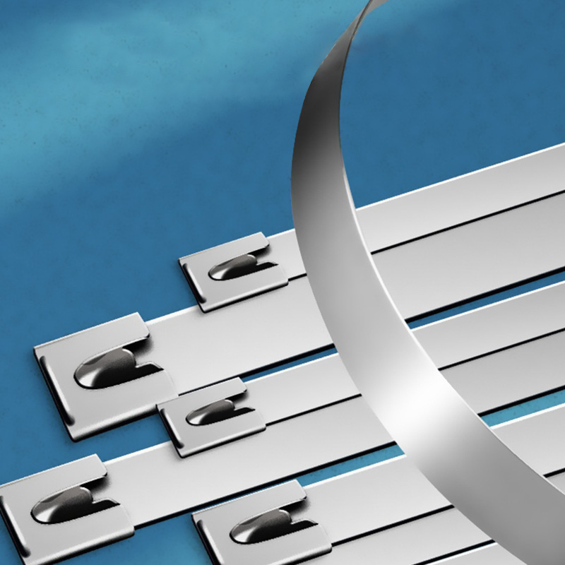 聊源自锁式不锈钢扎带10×1200mm/根高清大图