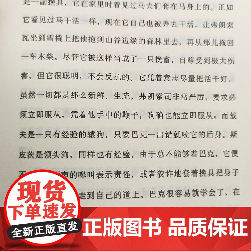 [正版]野性的呼唤 硬汉作家杰克伦敦精美插图中篇小说译文经典外国文学动物题材著马丁伊登白牙上海译文出版社()高清大图