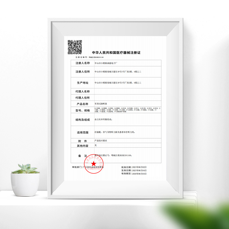 [官方旗舰店 助听器]宝尔通V-189B助听器长续航耳聋耳背式无线助听器高清大图