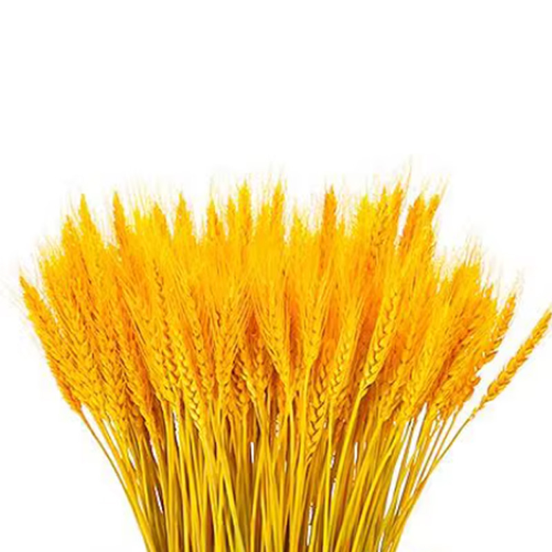 锦瑞星装饰仿真花摆件麦穗干花F3-A个高清大图
