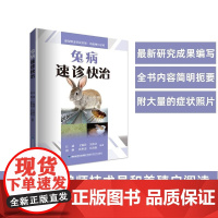 【店】兔病速诊快【