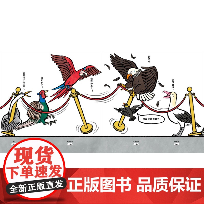 鸟儿在排什么队?精装硬壳适合3岁以上幼儿大村知子队列系列鸟类习性培养自然兴趣 提升科学认知科普趣味蒲蒲兰绘本正版高清大图