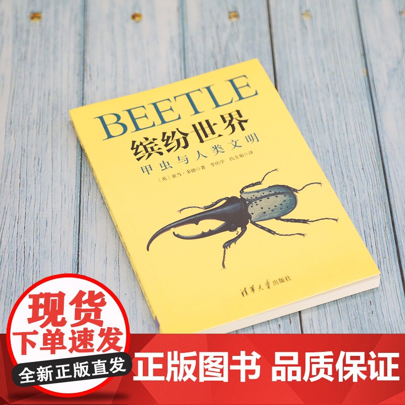 缤纷世界:甲虫与人类文明 人类故事 清华大学出版社 正版书籍高清大图