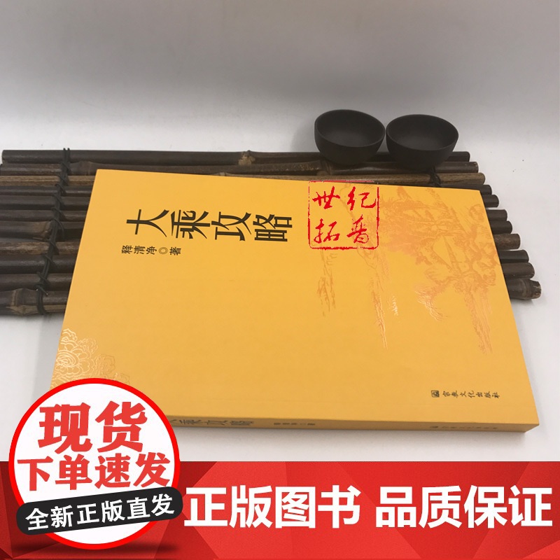 正版 大乘攻略 白话简体横排 释净空/著 宗教文化出版社汉传佛教图书佛教经典书籍高清大图