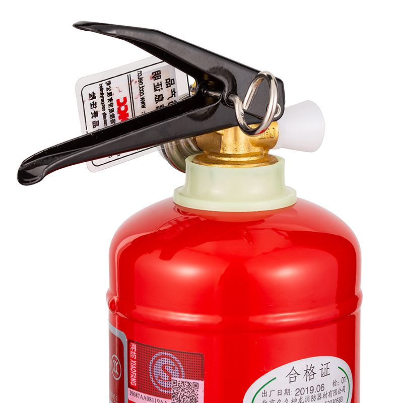 神龙 灭火器 干粉灭火器1公斤 车载家用灭火器1kg MFZ/ABC1