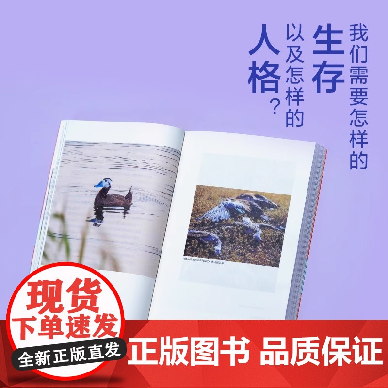 我不能在鸟兽身旁只是悲伤 花蚀著 逛动物园是件正经事作者重磅新作16个来自中国荒野的滚烫故事 正版书籍 花蚀著 帕索卡摄高清大图
