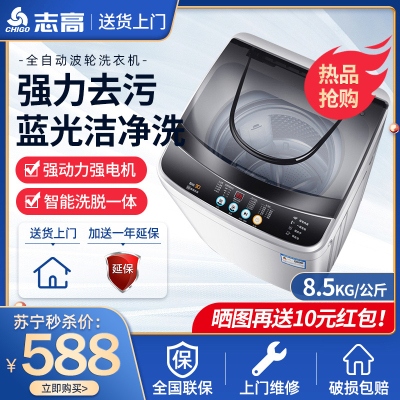 志高(CHIGO) XQB85-3801 透明灰-蓝光