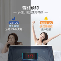 [抗霉菌波轮]玻璃上盖 海尔(Haier)10KG波轮洗衣机全自动 抗菌防霉 专用桶自洁 自编程随心洗