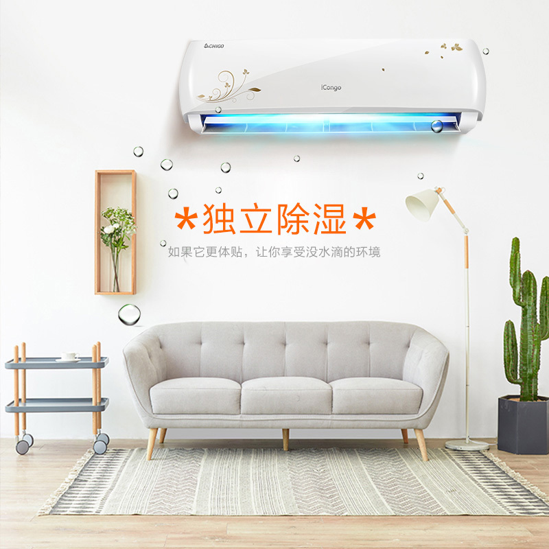 志高(CHIGO) 大1匹 变频智能 一级能效 挂壁式家用空调 静音节能冷暖空调挂机 NEW-GV9BS1H1Y2