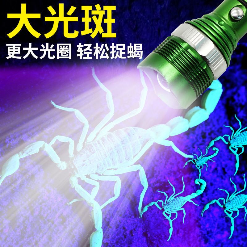 蝎子灯紫光灯超亮强光专用捕蝎灯照捉蝎子紫外线可充电手电筒验钞 5000毫安蝎子灯1电1充送聂子