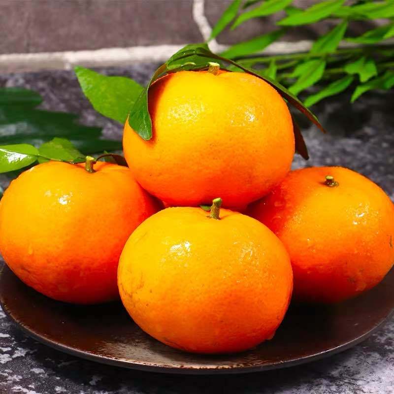 【靓果汇】广西武鸣沃柑5斤 单果60-65mm 果园直发 纯甜多汁