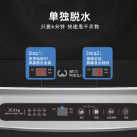 威力10公斤全自动波轮洗衣机 抗菌波轮 家用洗脱大容量 XQB100-10099
