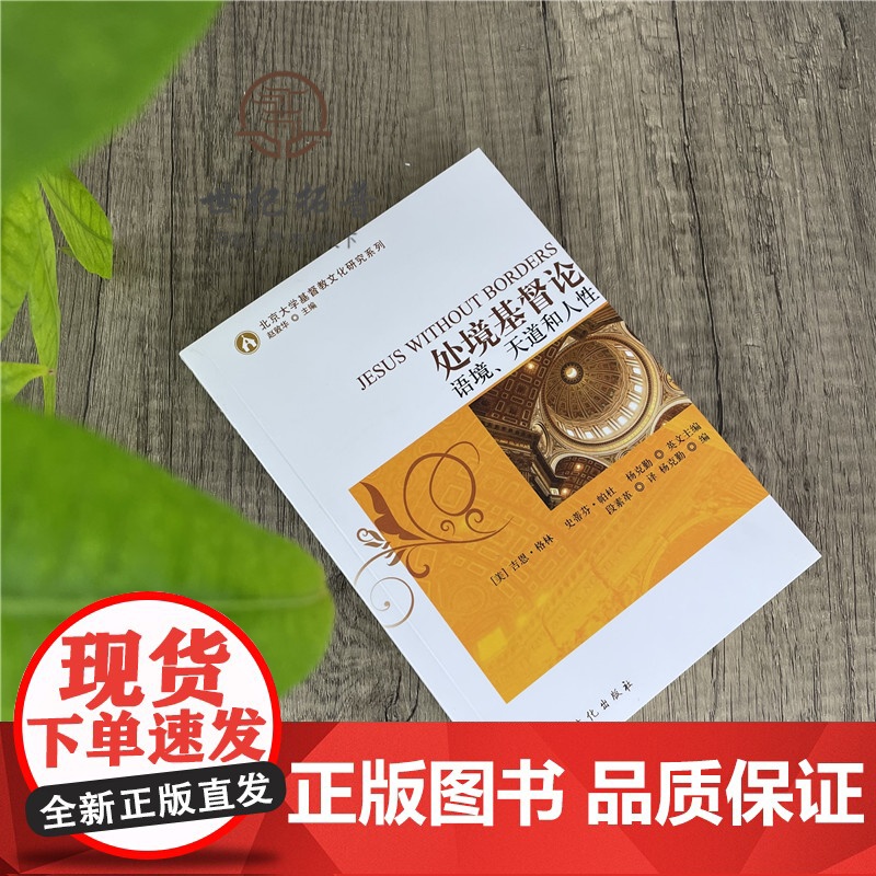 正版 处境基督论语境天道和人性 杨克勤 编 宗教文化出版社高清大图