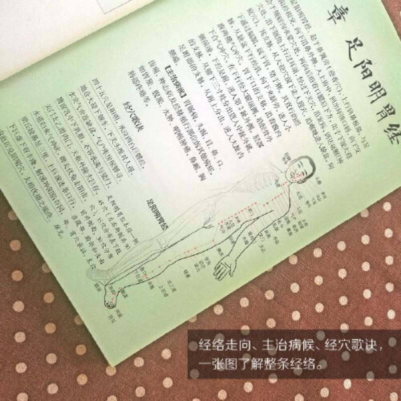 超简单取穴不出错(快速精准取穴是开展穴位治疗的前提。看 当当