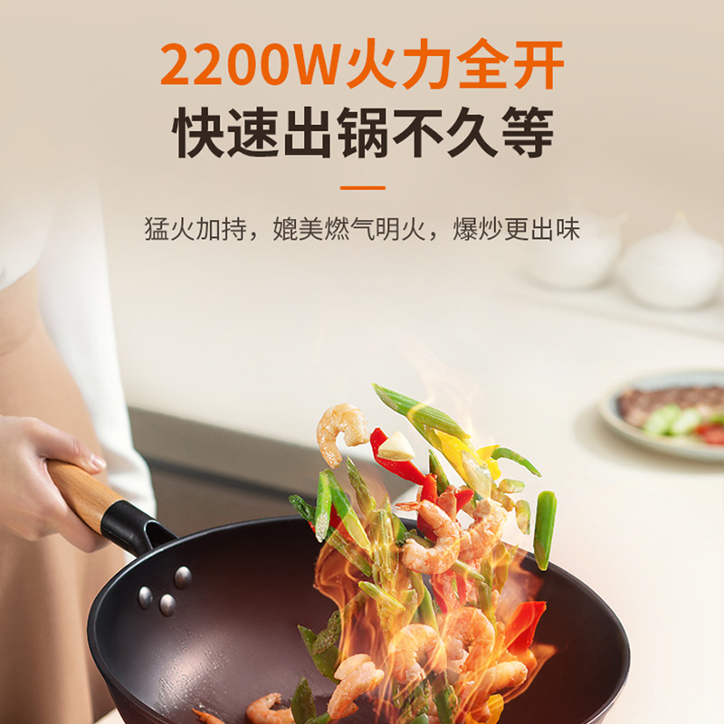 九阳(Joyoung) 电磁炉C22-F9高清大图