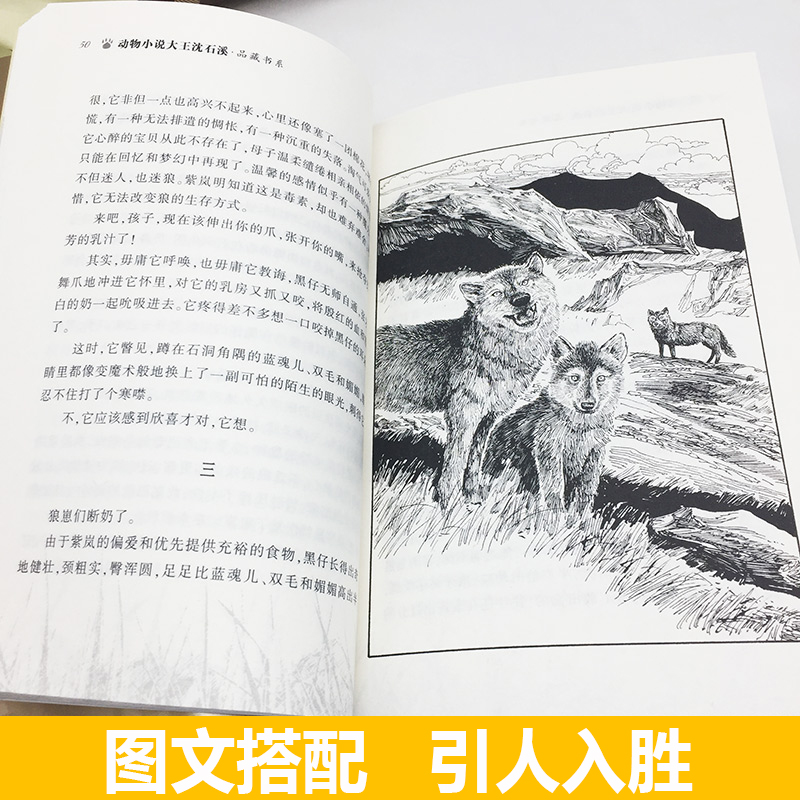 [醉染正版]狼王梦 动物小说大王沈石溪品藏书系升级版 经典儿童文学故事书7-12-14岁小学生三四五六年级课外阅读书籍寒高清大图